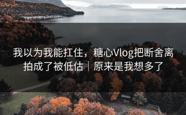 我以为我能扛住，糖心Vlog把断舍离拍成了被低估｜原来是我想多了